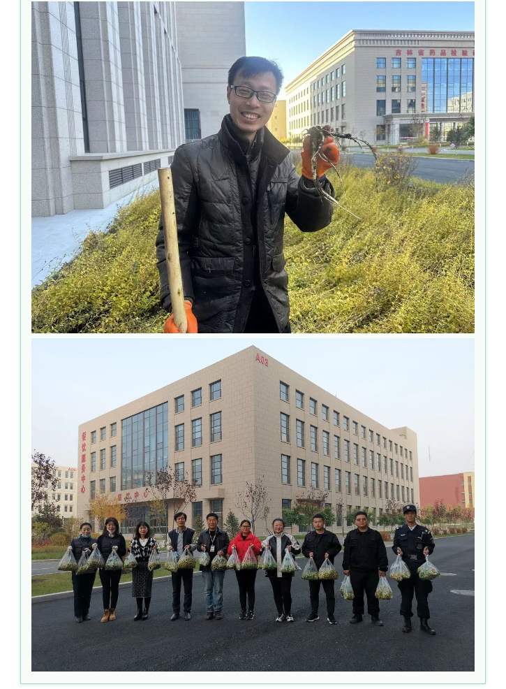 【园区活动】中韩亚泰北药园_秋日采摘 收获桔梗 一起来行动！ (4).png