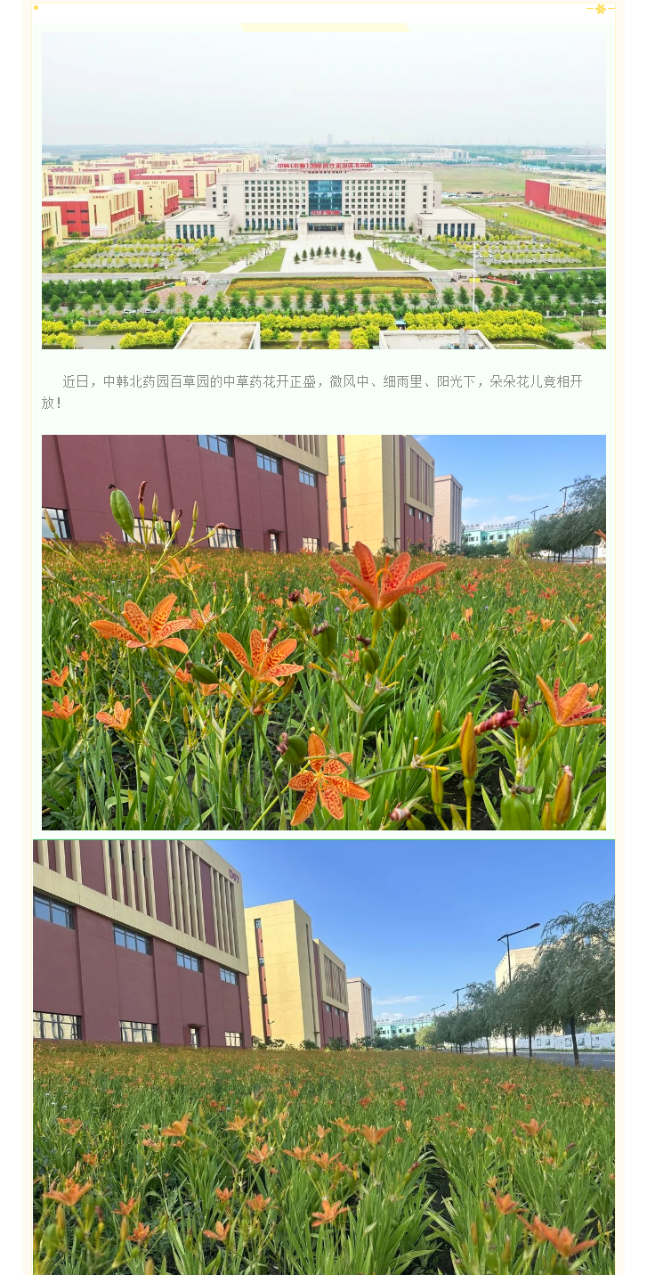 【园区物业】中韩北药园_百草园花开正盛 邀您共赏！ (1).png