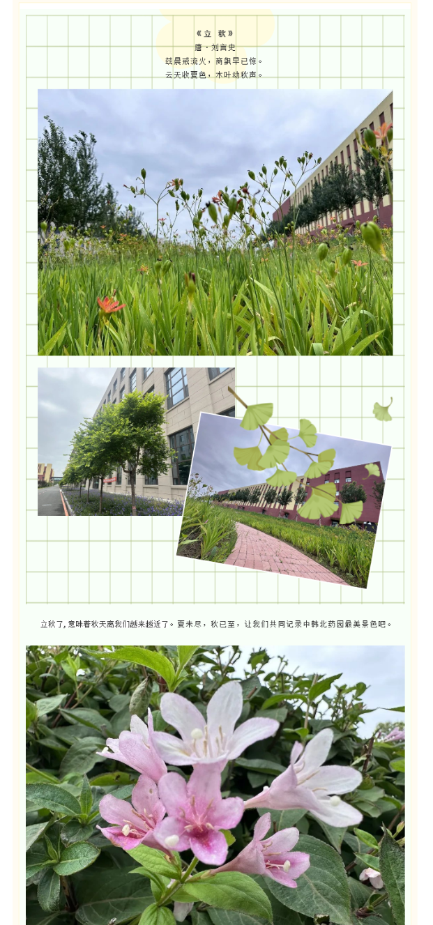 【园区招商】夏未尽 秋已至 最美园区景！ (1).png