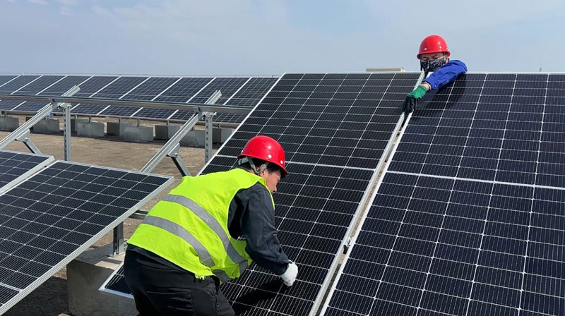 68d248cf644ad.jpg 489.jpg